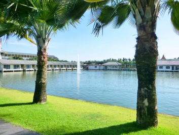 photo 1272284