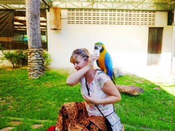 photo 1337820