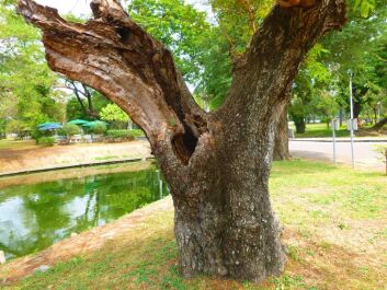 photo 1466202