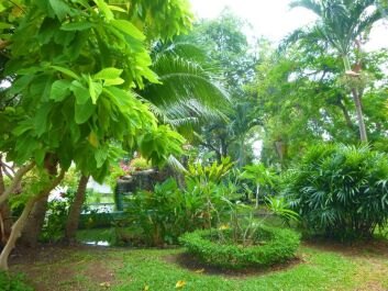 photo 1496567
