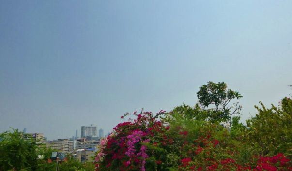 P1110079