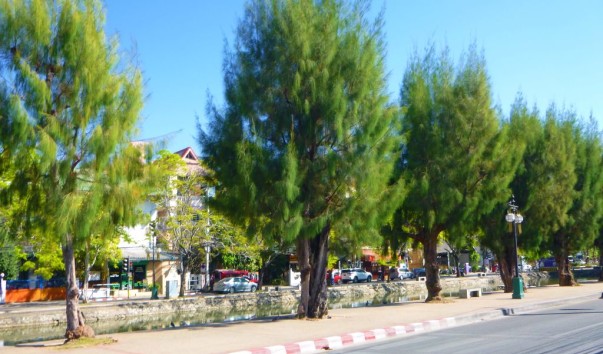 P1100572