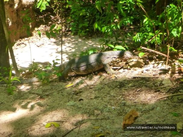 photo 1734135