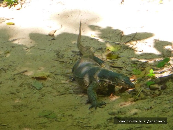 photo 1747602