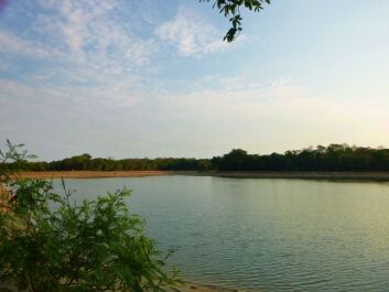 photo 1455971