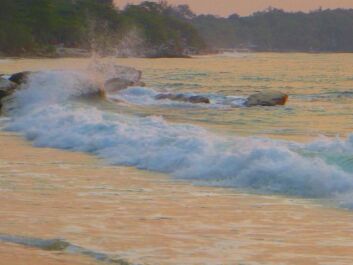 photo 1455989