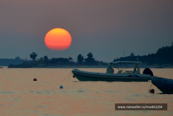 photo 235792