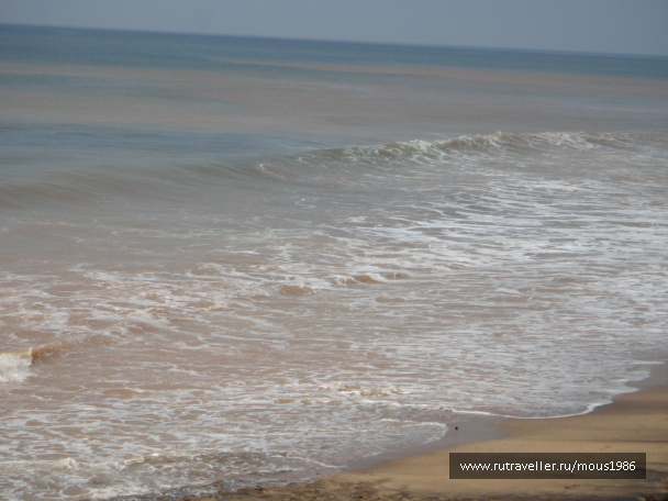photo 169613