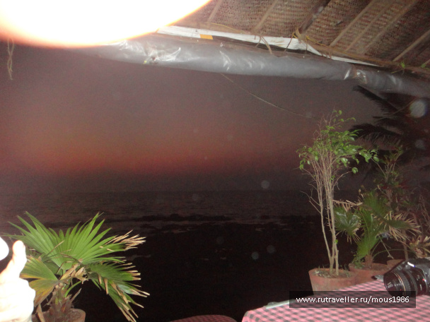 photo 169618