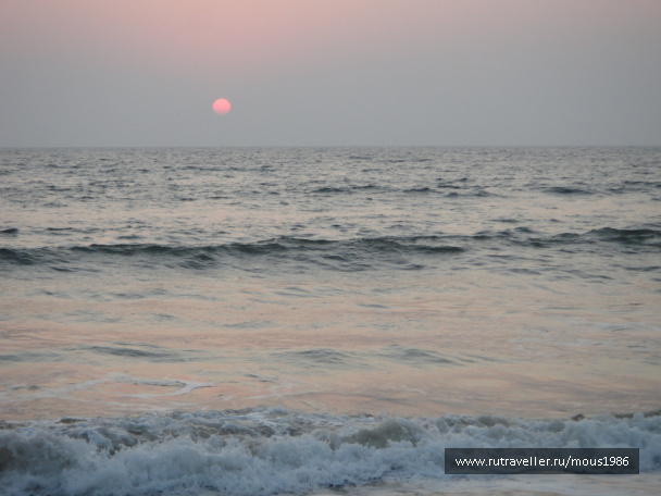 photo 169619