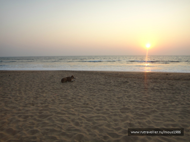 photo 169628