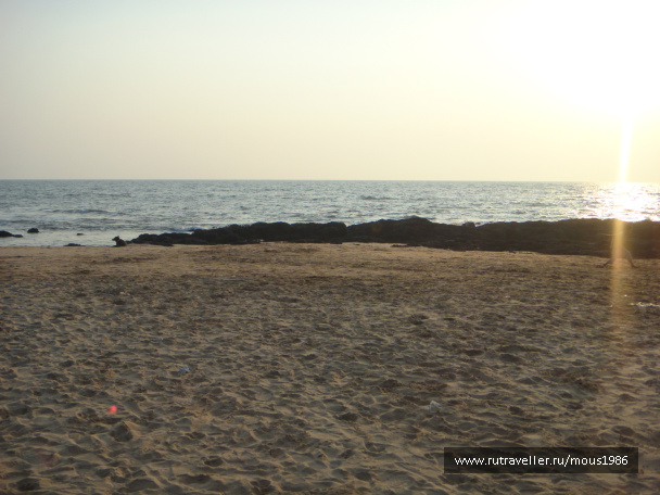 photo 169635