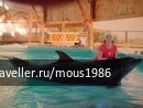 photo 169602