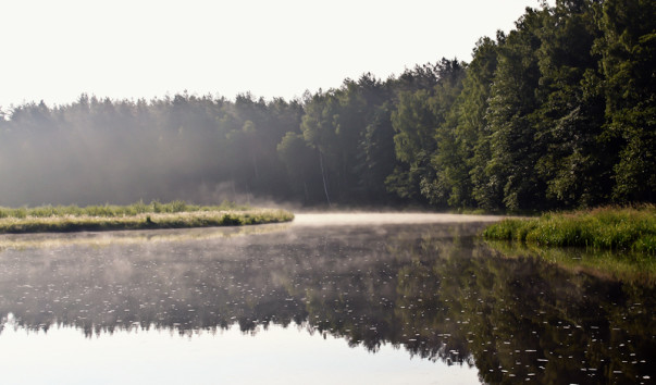 2011_08_grodno_05