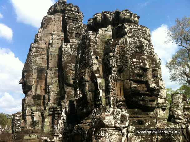 photo 235974