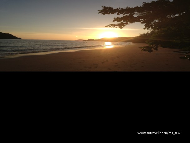 photo 235902