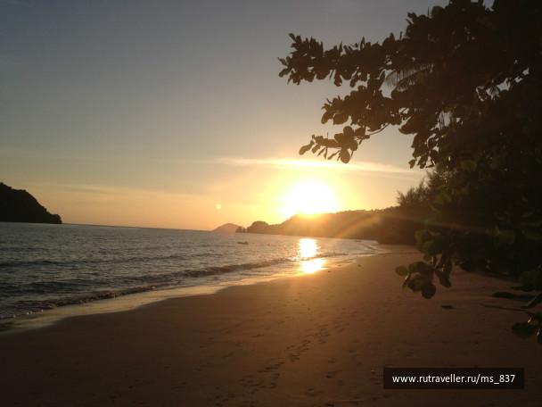 photo 235955