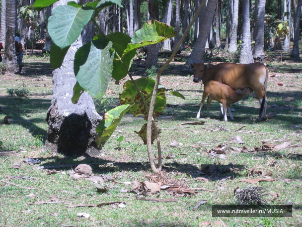 photo 9687