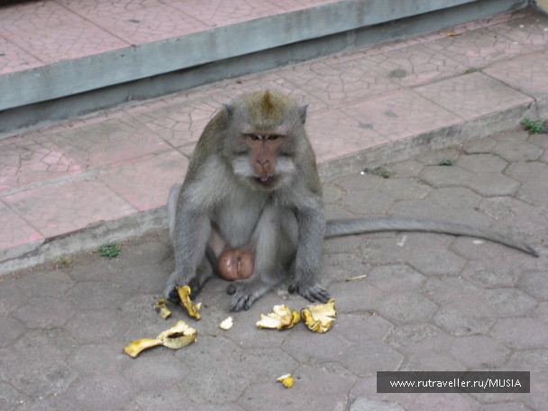photo 9702