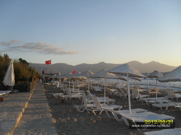 photo 309698