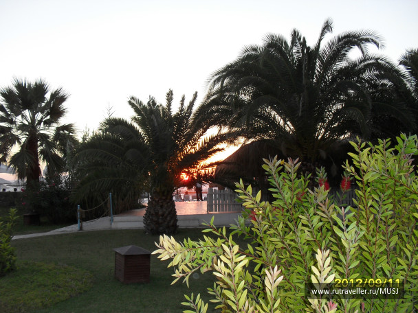 photo 309701