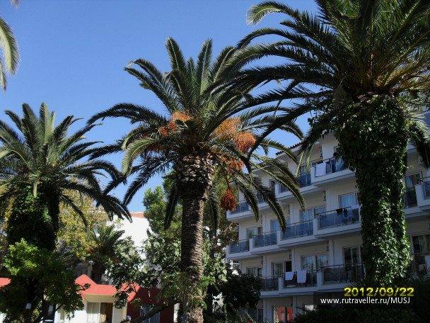 photo 419573