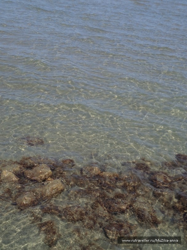 photo 821623