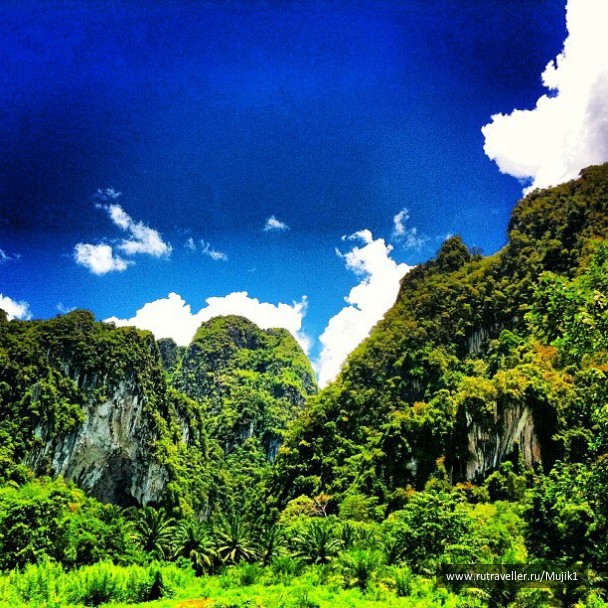 photo 353759