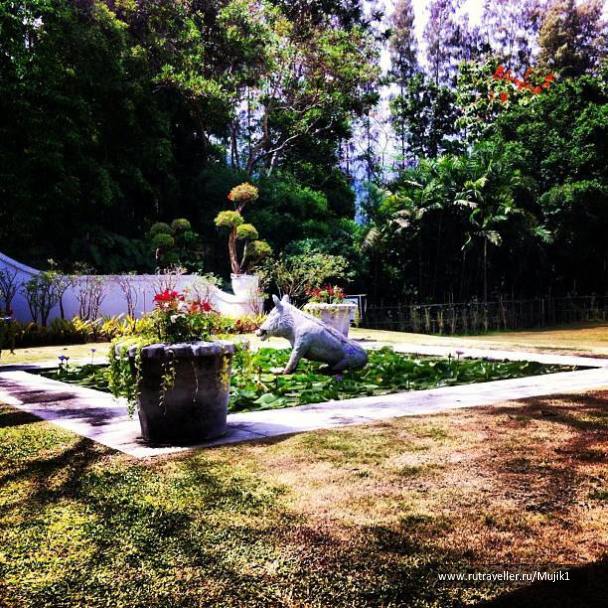 photo 375125