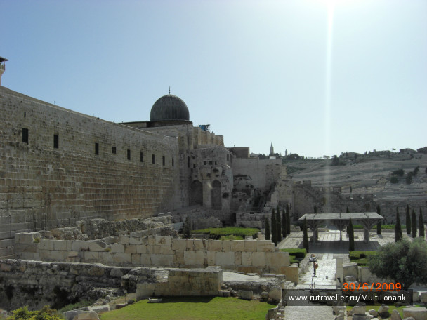 photo 95579