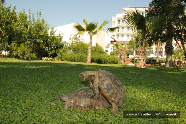 photo 167993