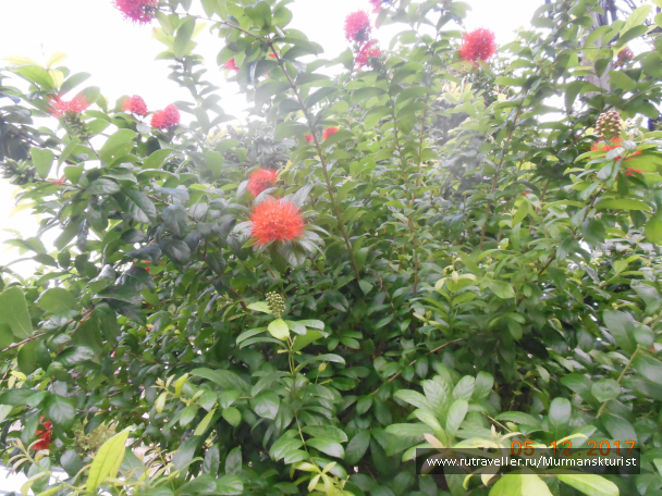 photo 1597389