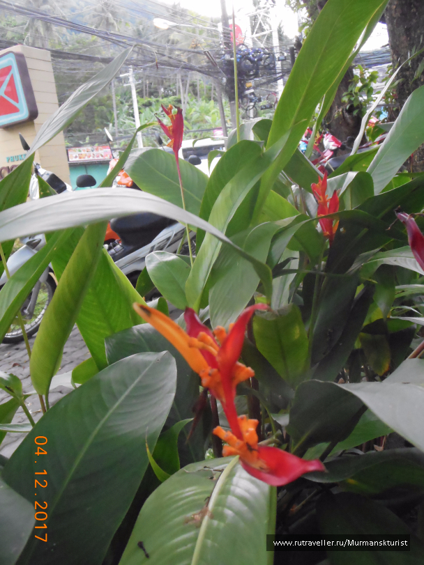 photo 1597397