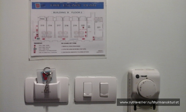 photo 1597425