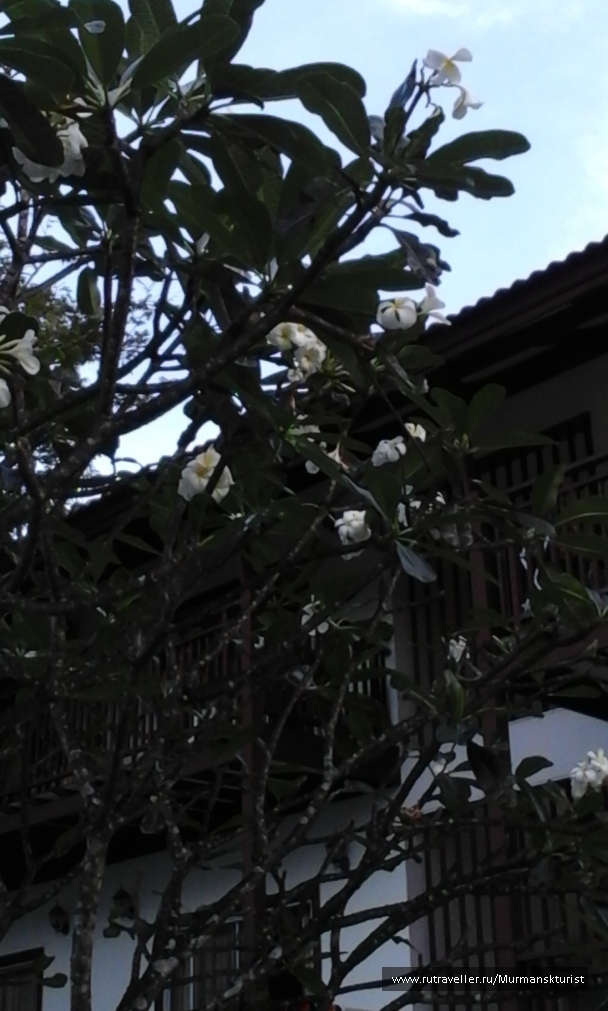 photo 1597431
