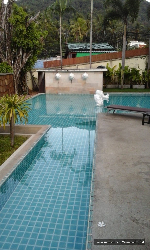 photo 1597444
