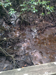 photo 1325891