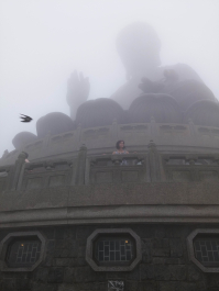 photo 1327516