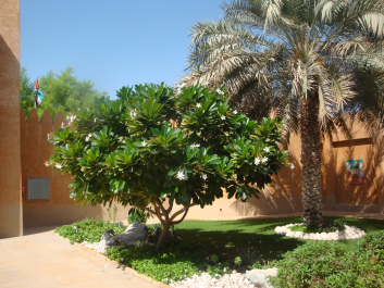 photo 1242944