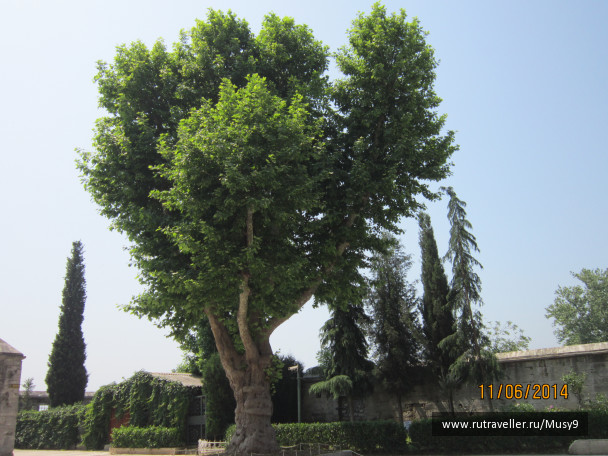 photo 1242828