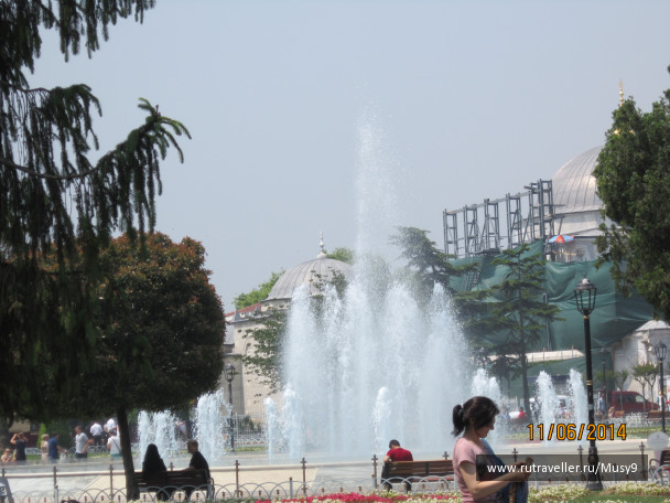 photo 1242831
