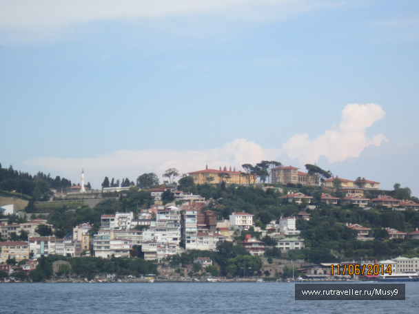 photo 1242839