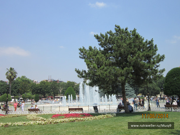 photo 1243526