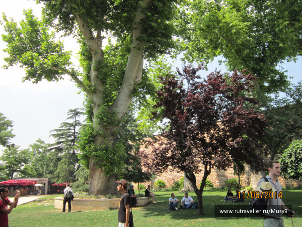 photo 1243533