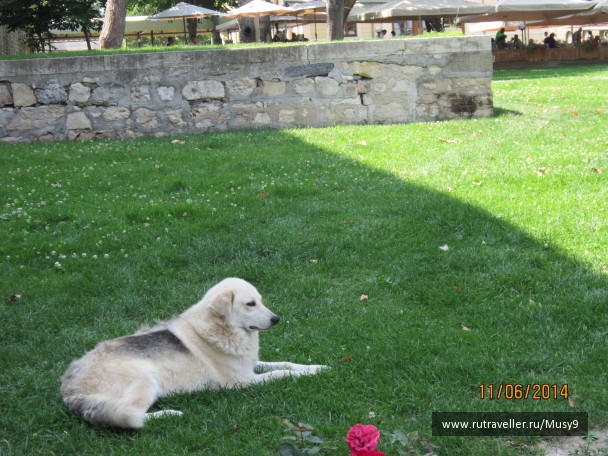photo 1243535