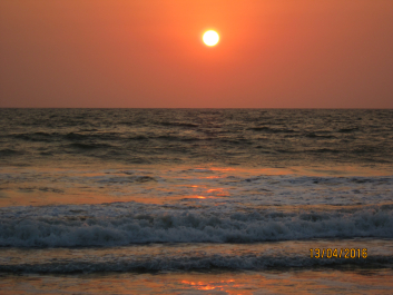 photo 1278377
