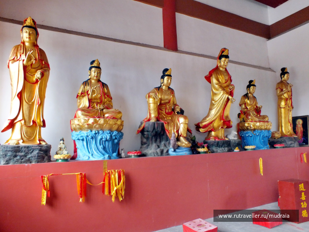 photo 1047688