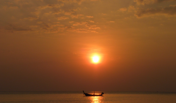 DSCN3102