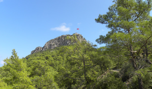 DSCN2660
