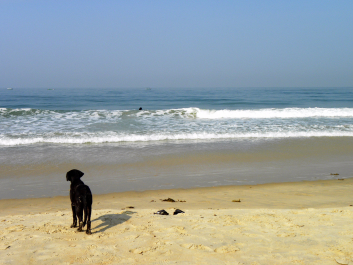 photo 1242864